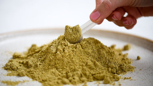 broccoli sprout powder