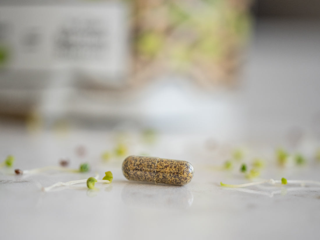 sulforaphane supplement, broccoli sprout capsules