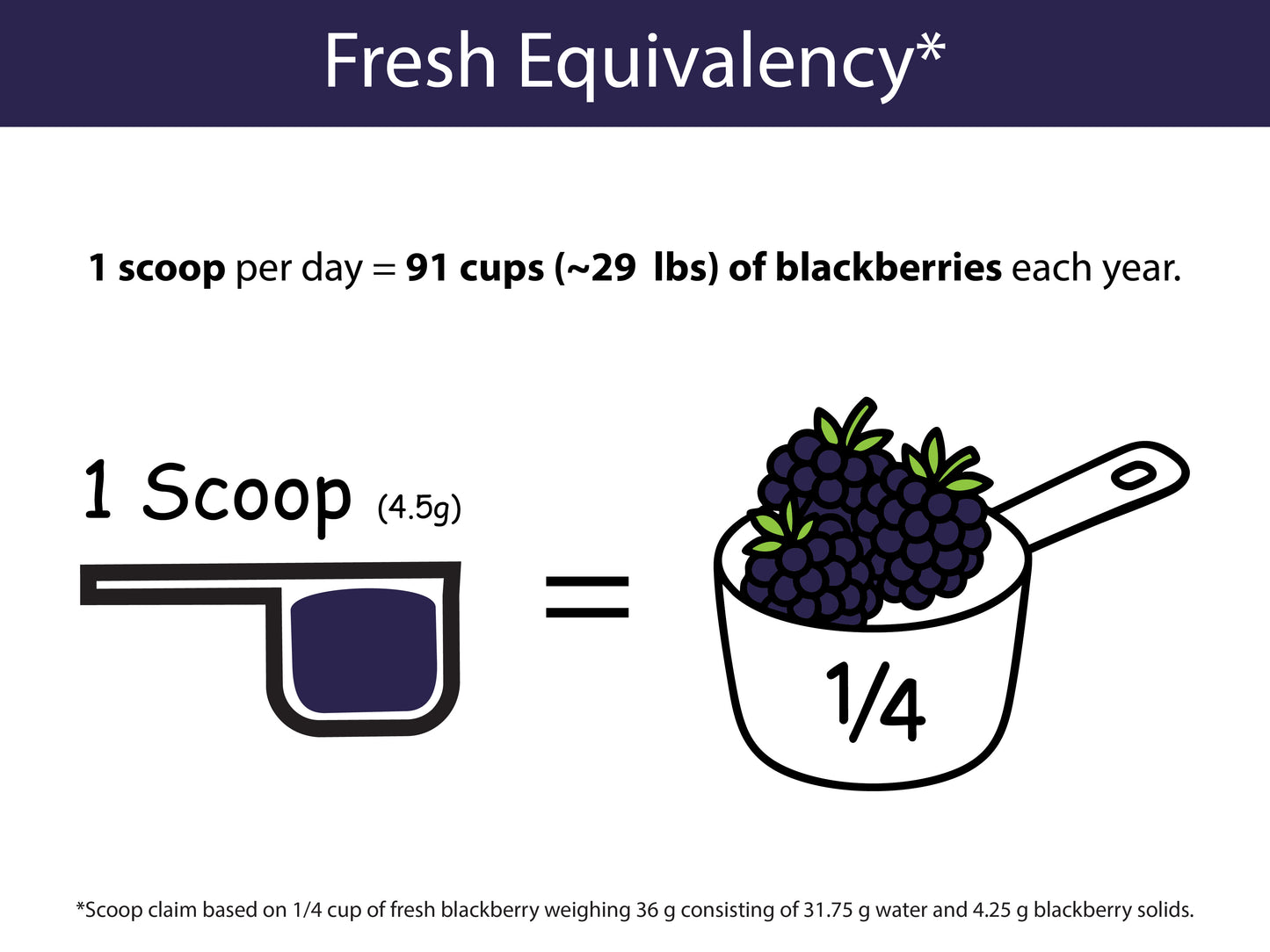 Organic Blackberry Powder