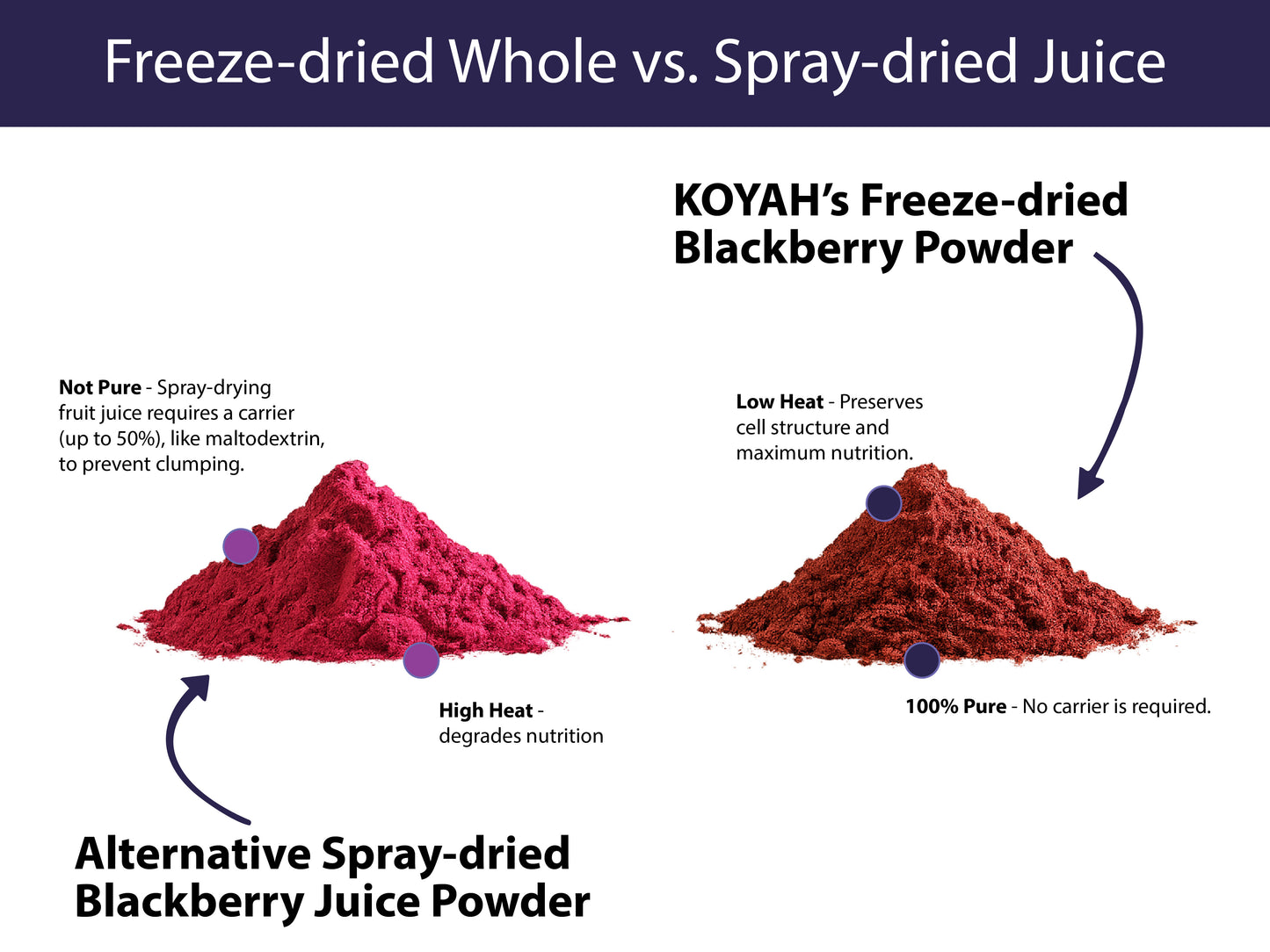 Organic Blackberry Powder