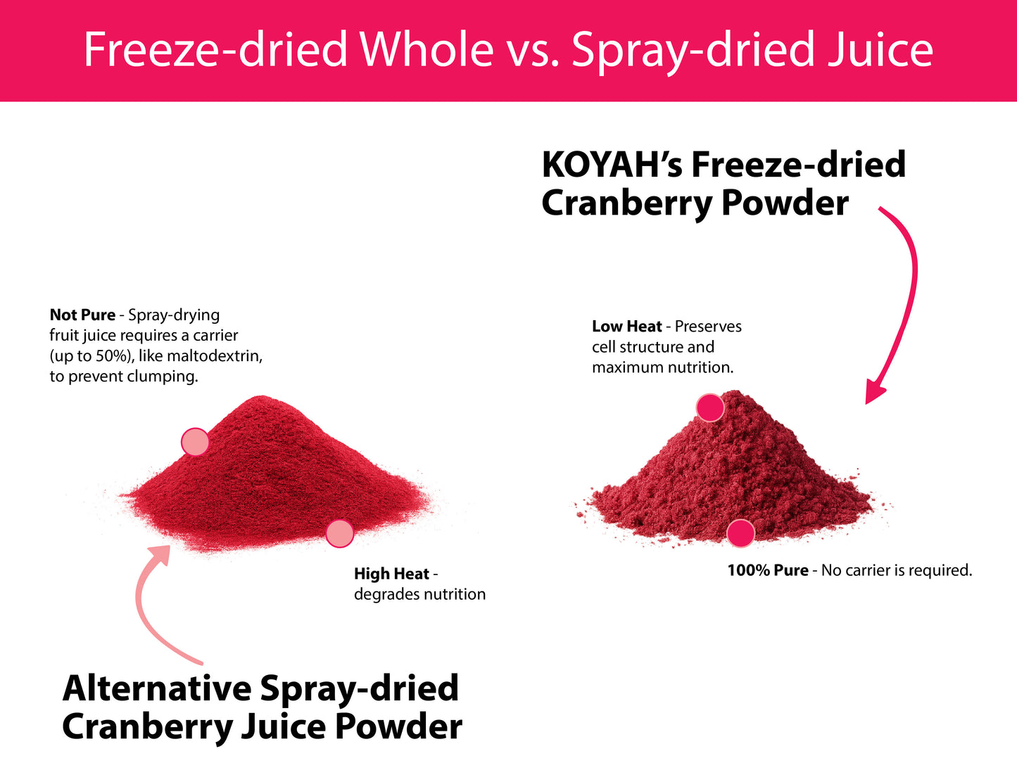 Organic Cranberry Powder