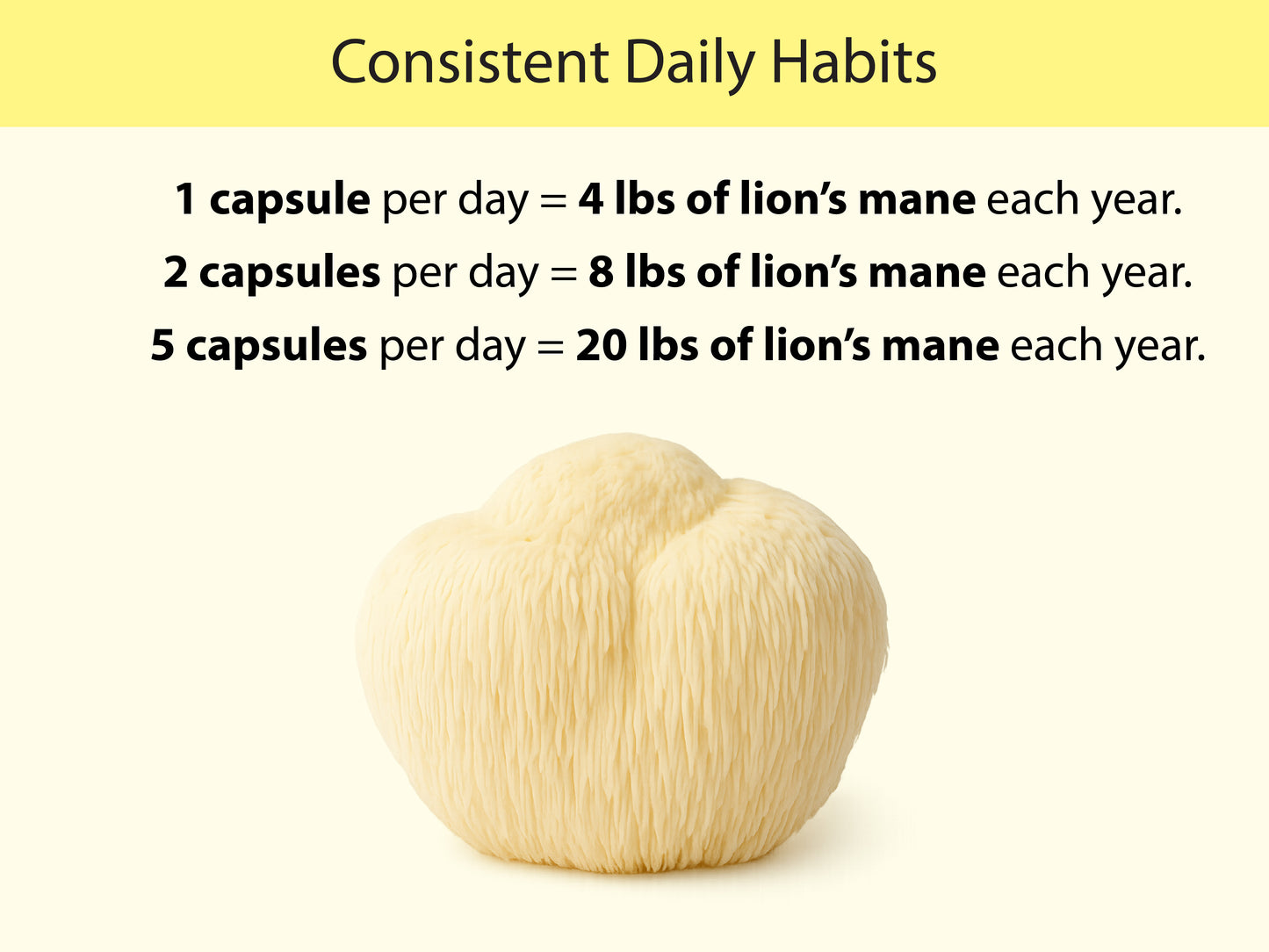 Organic Lion's Mane Capsules