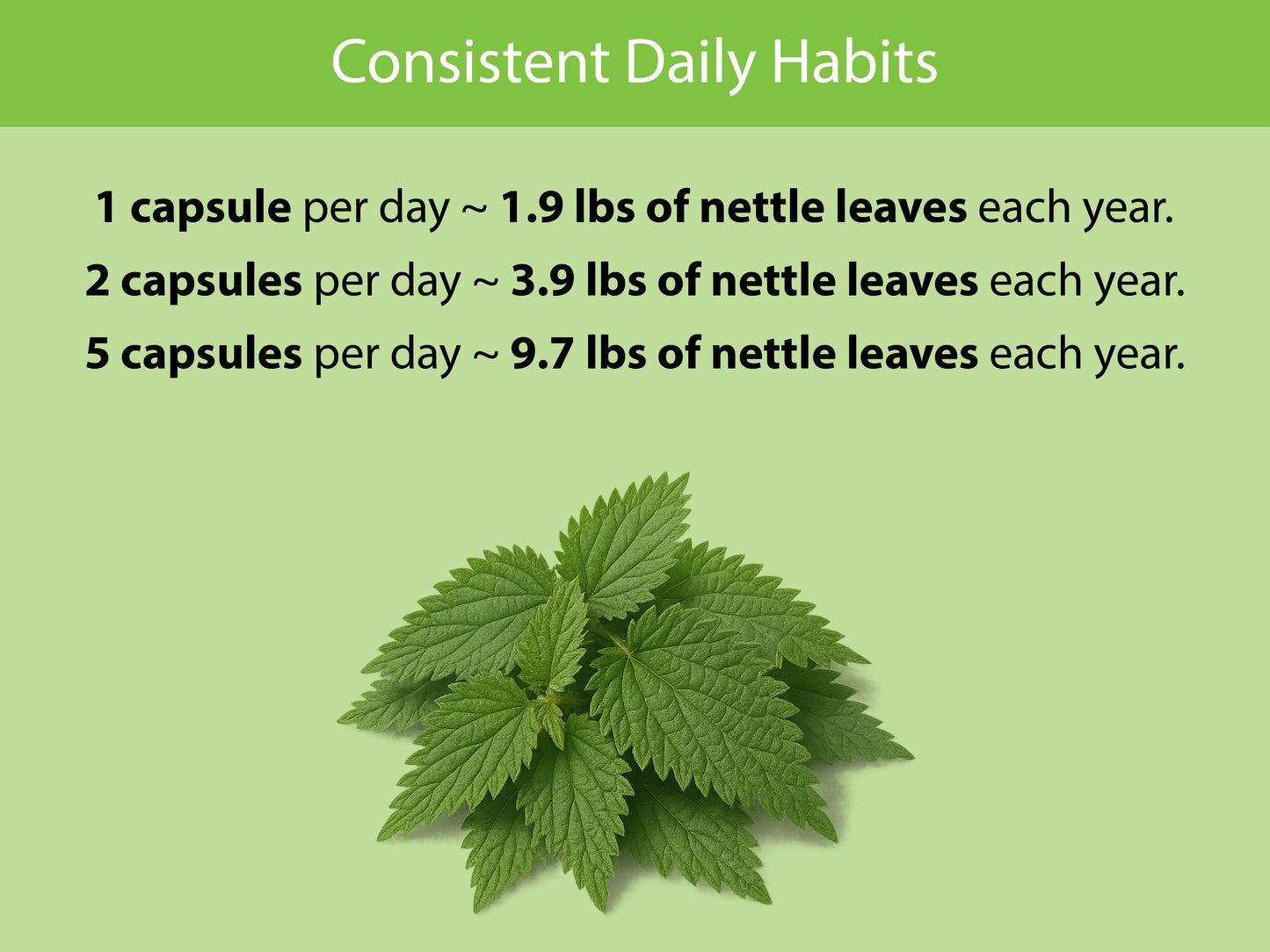 Organic Stinging Nettle Leaf Capsules