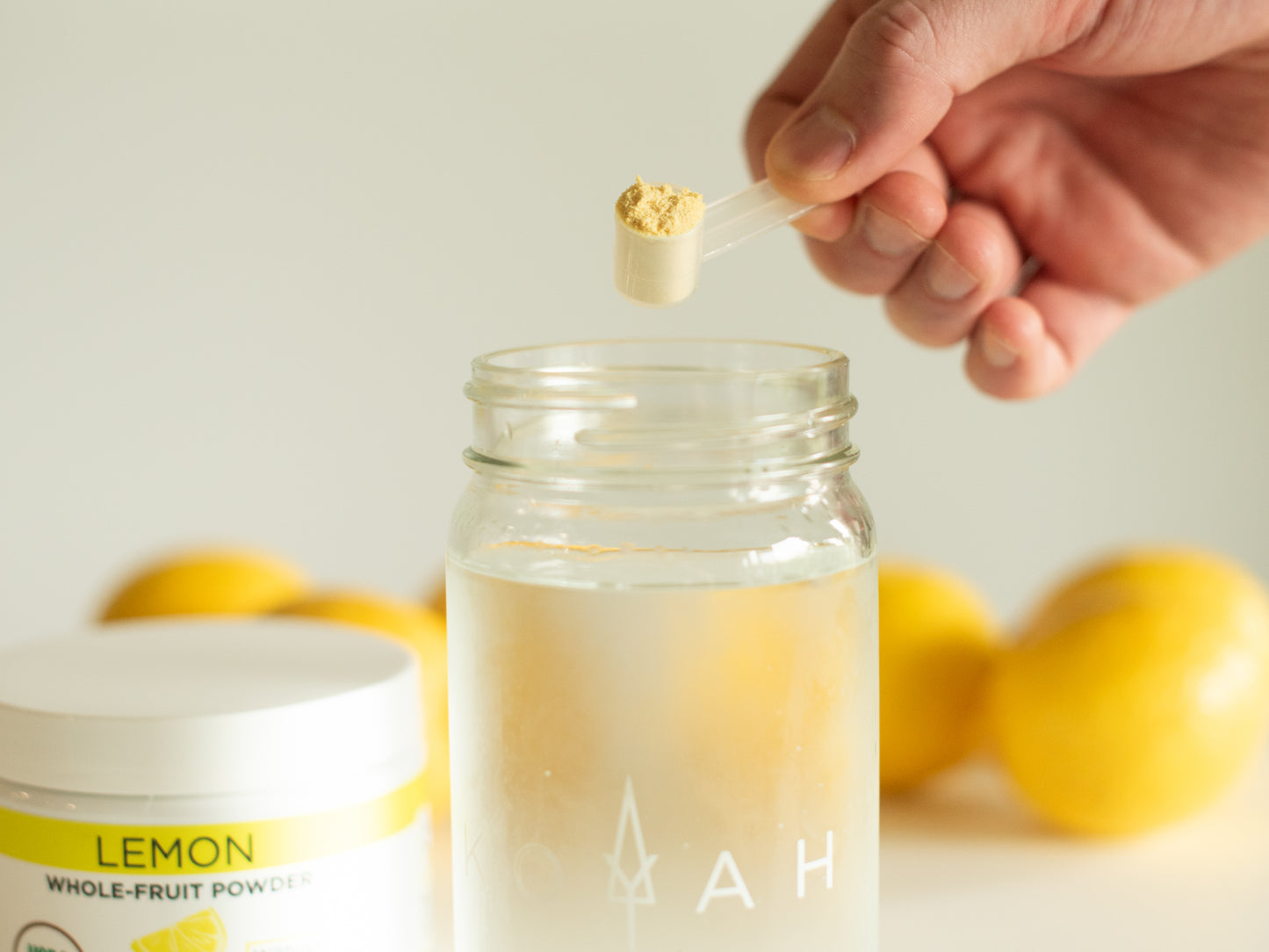 Organic Lemon Powder (No Peel)