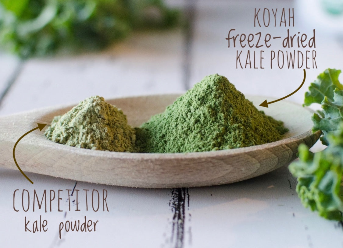 The difference between air-dried and freeze-dried kale powders.