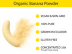 Organic Banana Powder