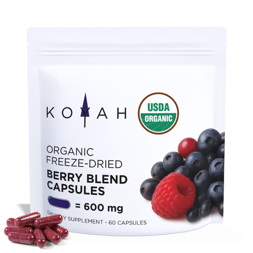 Organic Berry Blend Capsules — organic antioxidant berry blend capsules by KOYAH