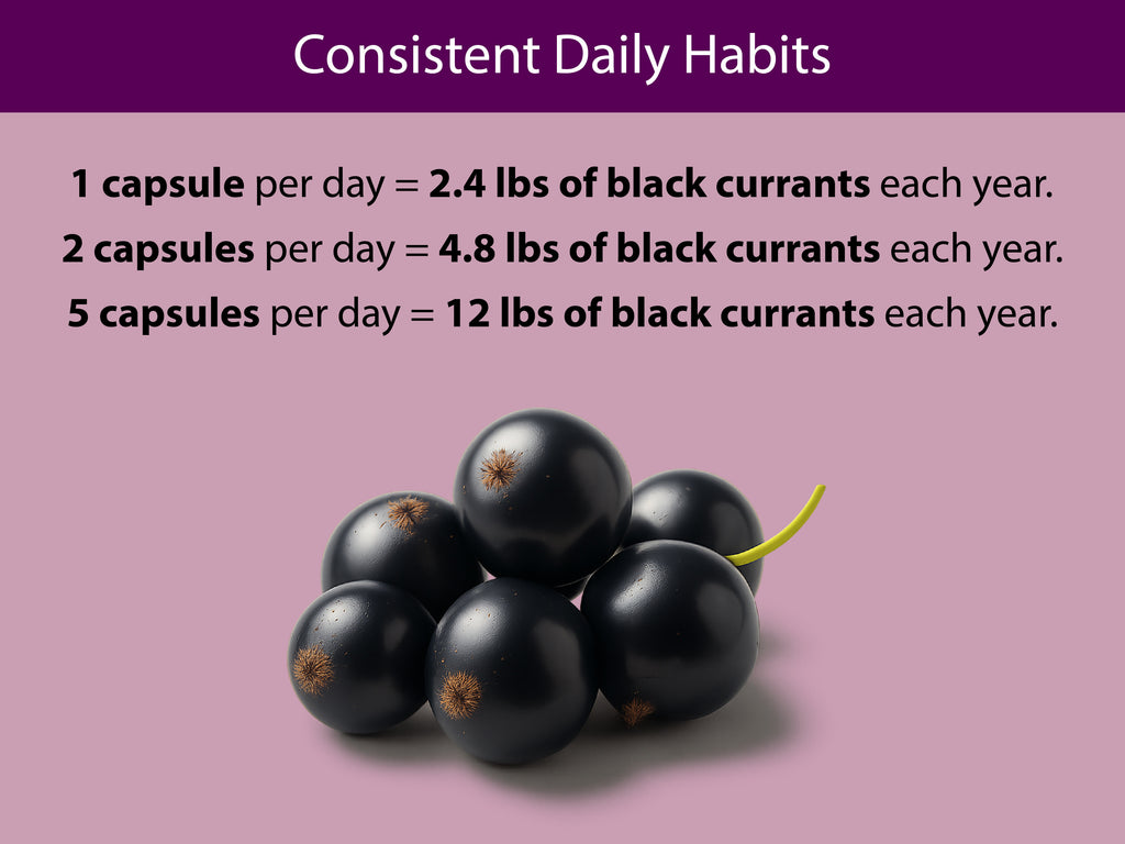 Organic Black Currant Capsules