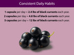Organic Black Currant Capsules