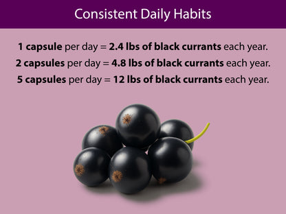 Organic Black Currant Capsules