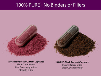 Organic Black Currant Capsules