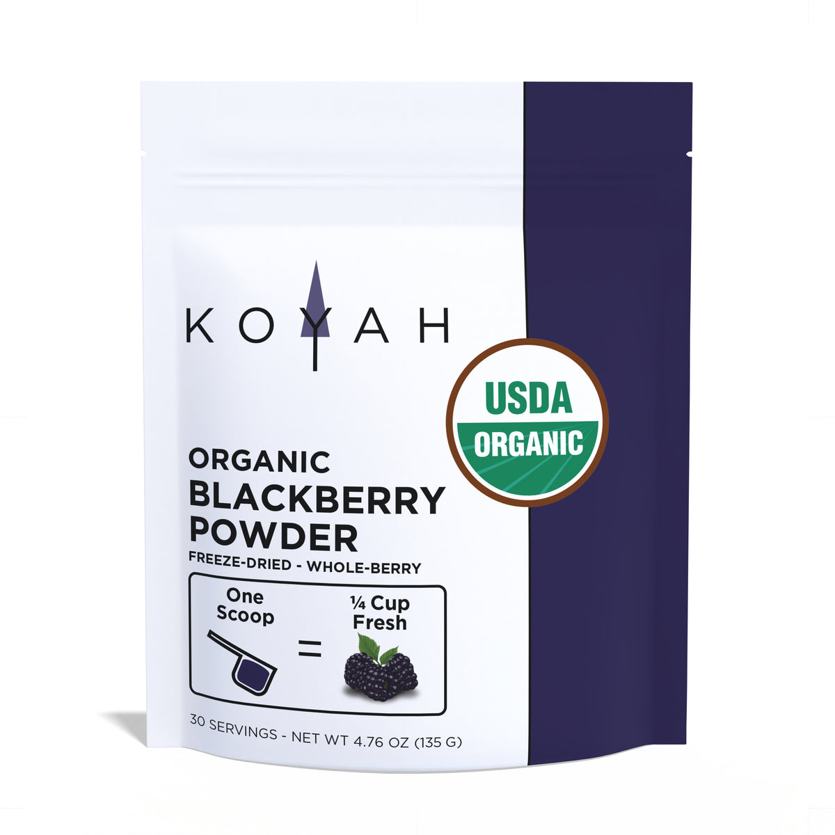 Organic Blackberry Powder — organic antioxidant blackberry powder by KOYAH