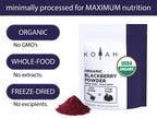 Organic Blackberry Powder