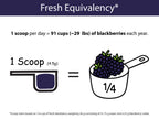 Organic Blackberry Powder