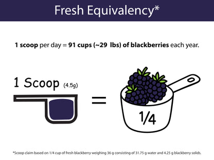 Organic Blackberry Powder
