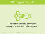 Organic Celery Capsules