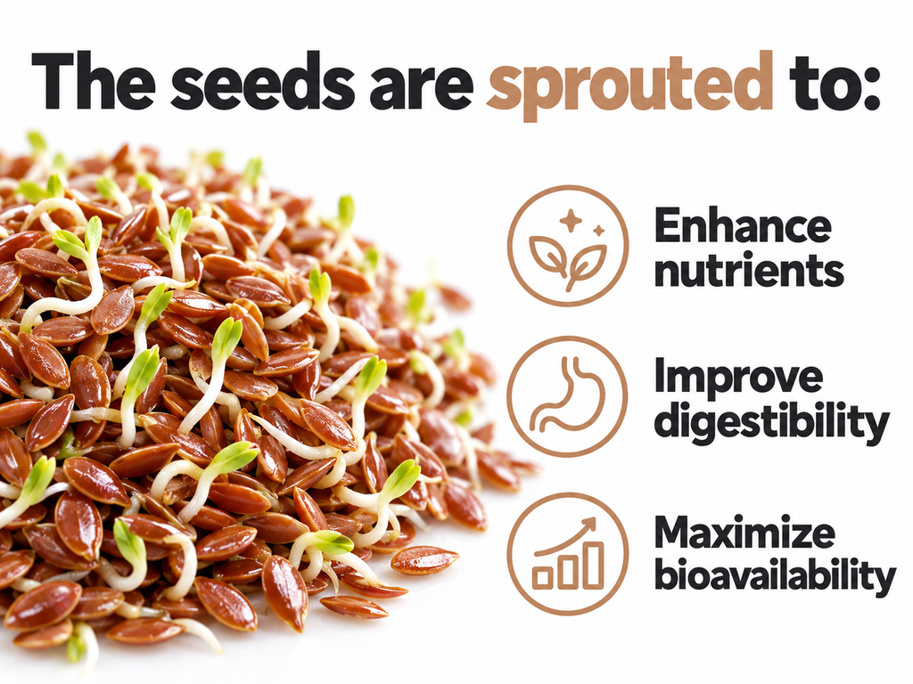 Pile of sprouted flax seeds with small shoots: the seeds are sprouted to enhance nutrients, improve digestibility and maximize bioavailability