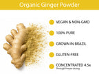 Organic Ginger Powder