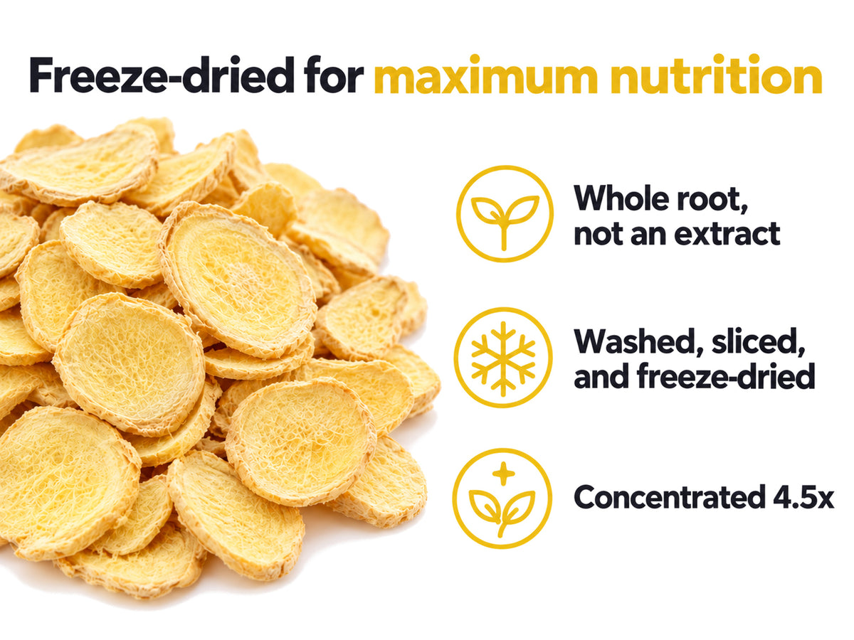 Ginger Capsules: Freeze Dried Benefits
