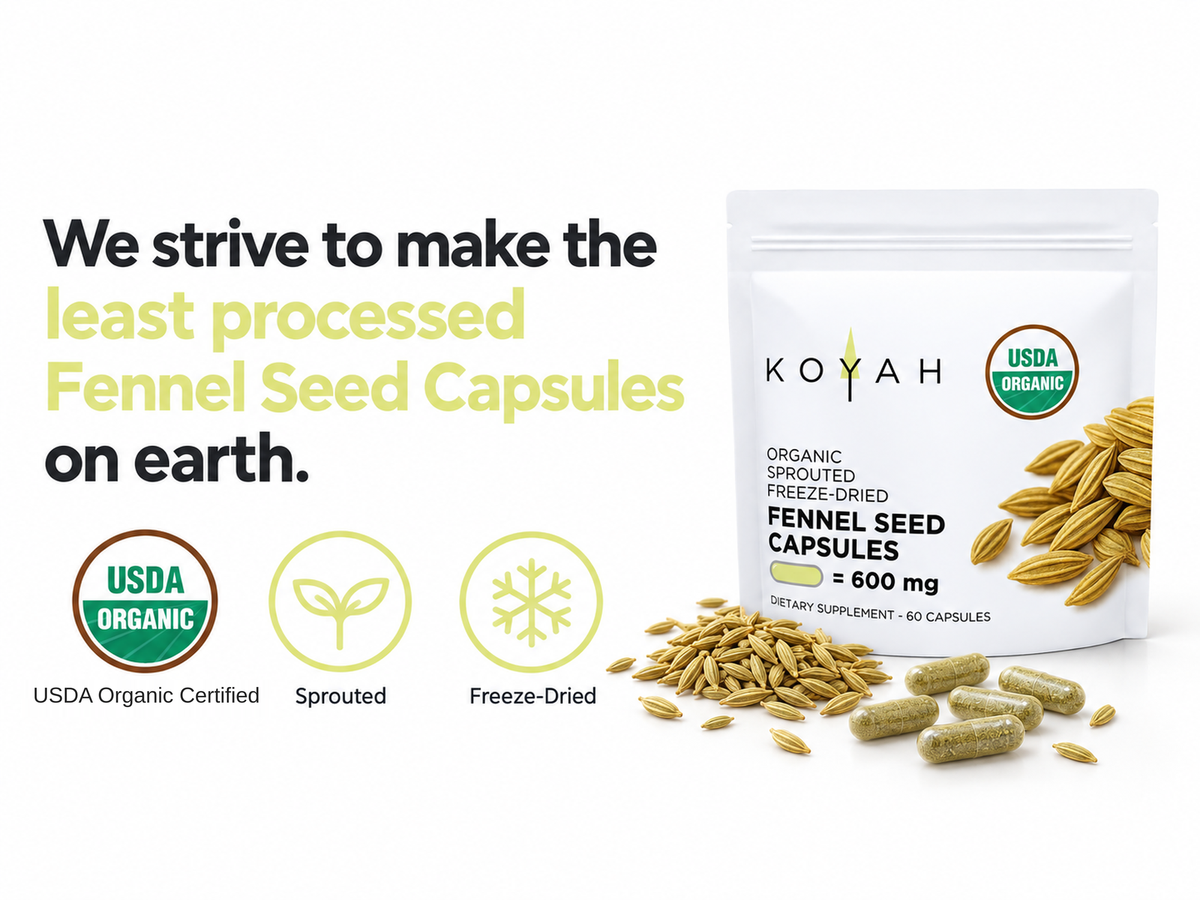 KOYAH Organic Sprouted Fennel Seed Capsules pouch with loose fennel seeds and capsules, and USDA Organic, sprouted and freeze-dried icons: the least processed fennel seed capsules on earth