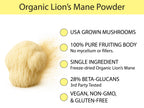 Organic Lion's Mane Powder key benefits — USA grown mushrooms, 100% pure fruiting body, single ingredient, 28% beta-glucans, vegan and gluten-free