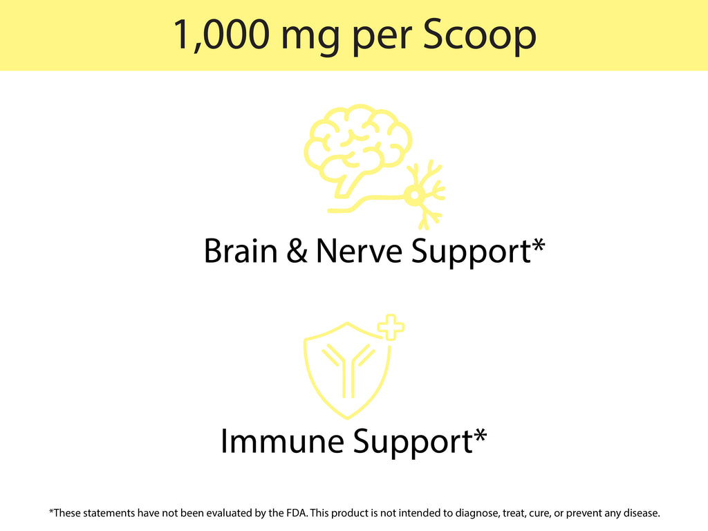 Organic Lion's Mane Powder benefits — 1000 mg per scoop for brain and nerve support plus immune support
