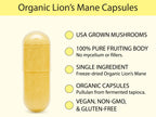 Organic Lion's Mane Capsules