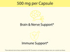 Organic Lion's Mane Capsules