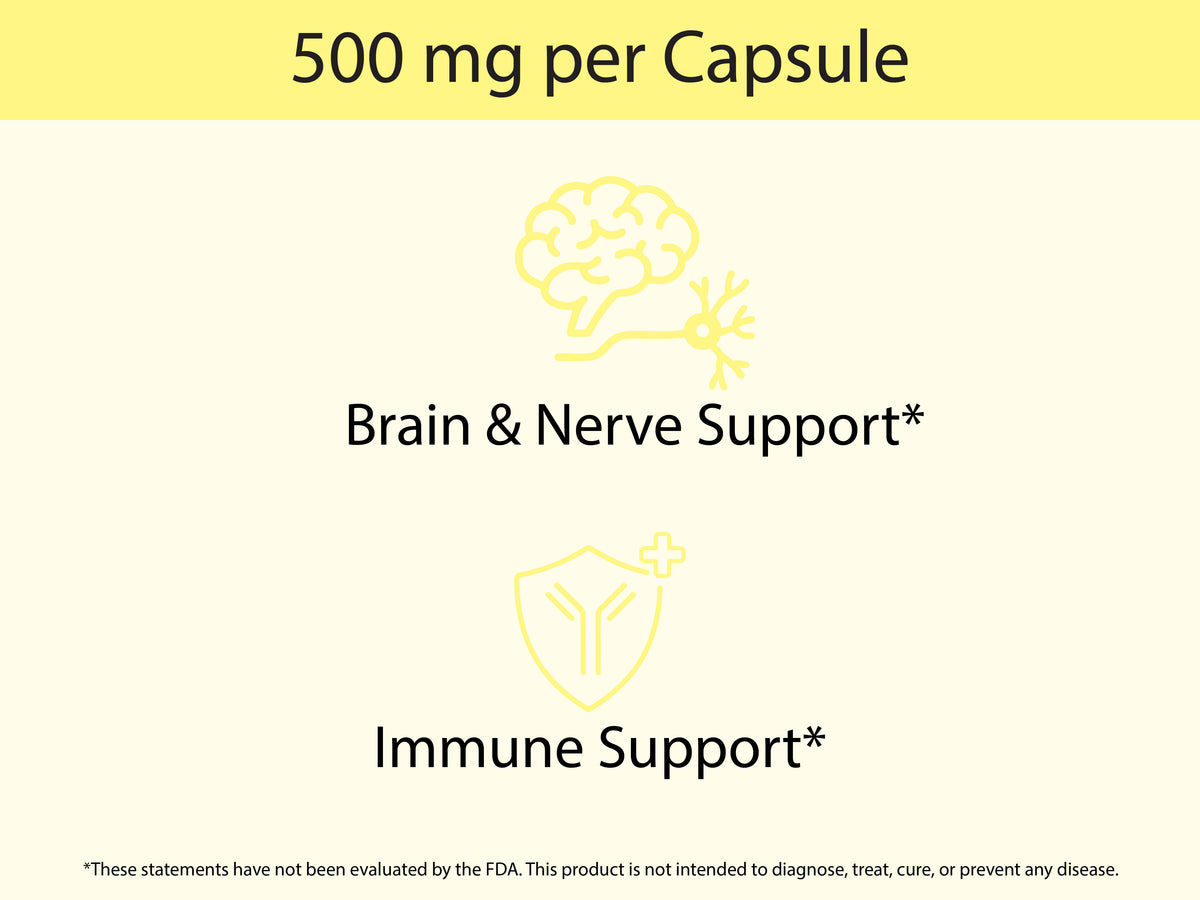 Organic Lion's Mane Capsules