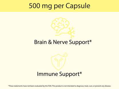 Organic Lion's Mane Capsules