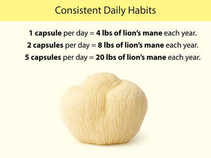 Organic Lion's Mane Capsules