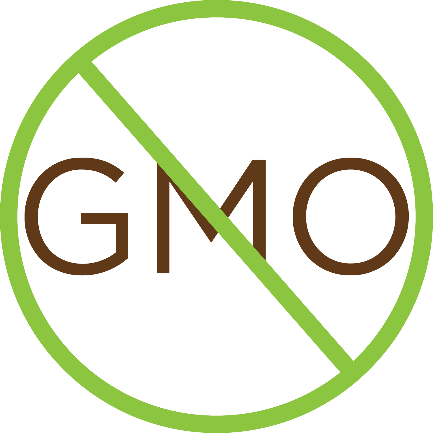 Organic Celery Powder KOYAH