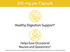 Organic Ginger Capsules Pacdora lifestyle 03
