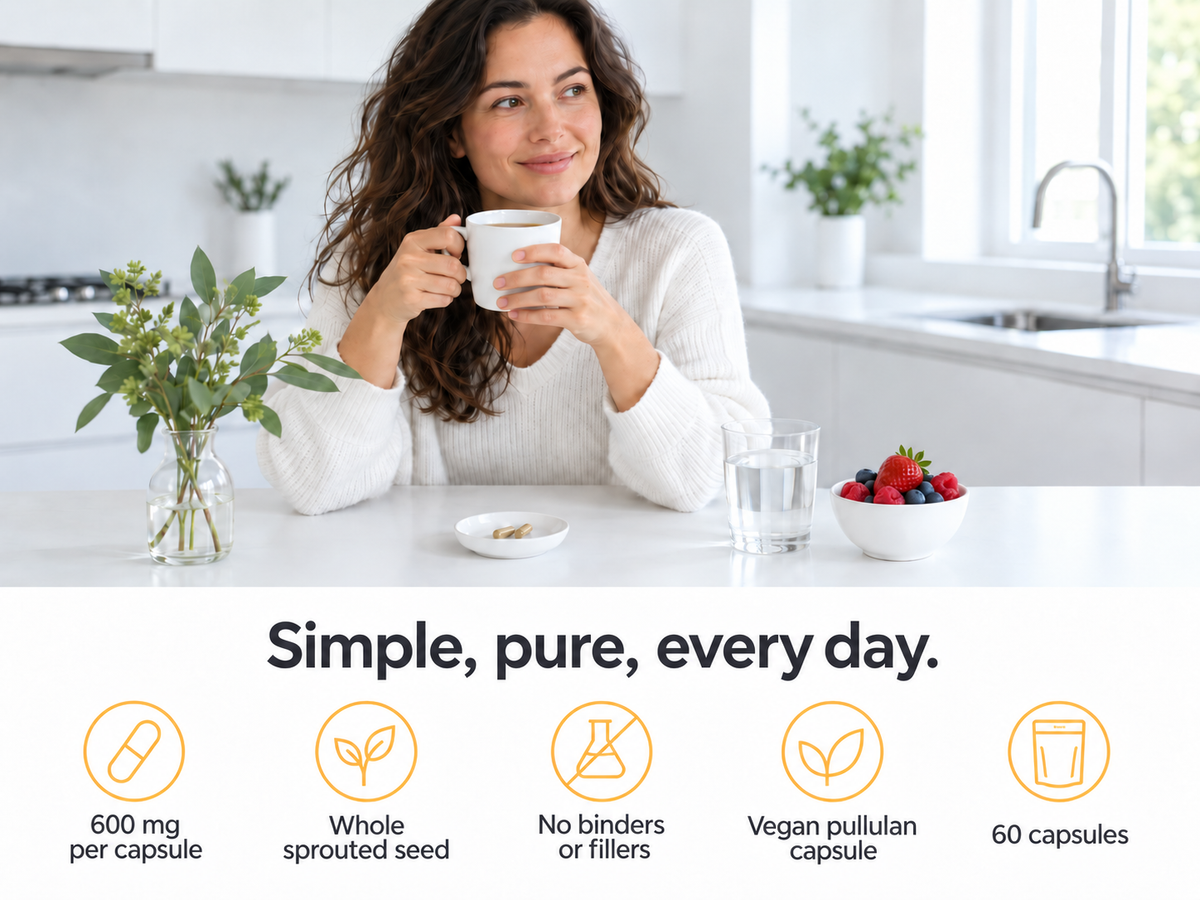 KOYAH Organic Fenugreek Sprout capsules: simple, pure, every day - 600 mg whole sprouted seed, no binders or fillers, vegan pullulan capsule, 60 capsules