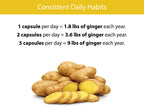 Organic Ginger Capsules Pacdora artboard 7