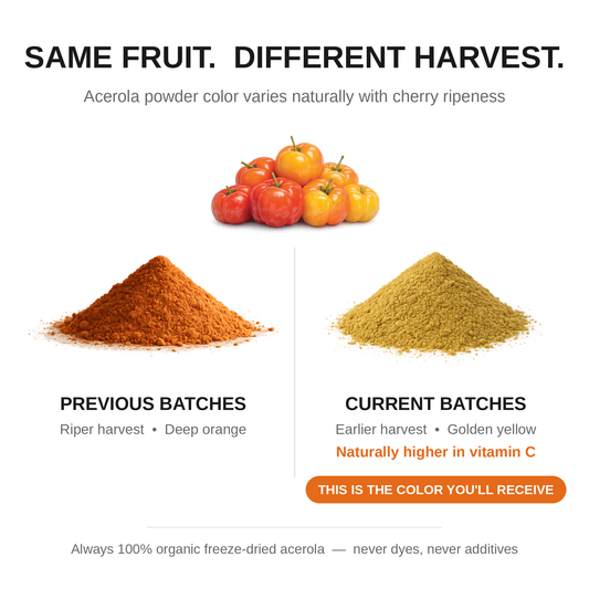 Organic Acerola Powder