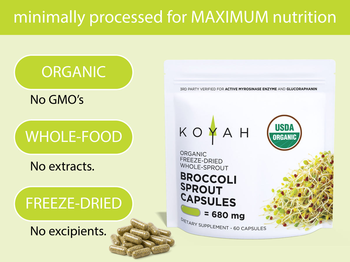 KOYAH Organic Broccoli Sprout Capsules infographic: organic, whole food, freeze-dried