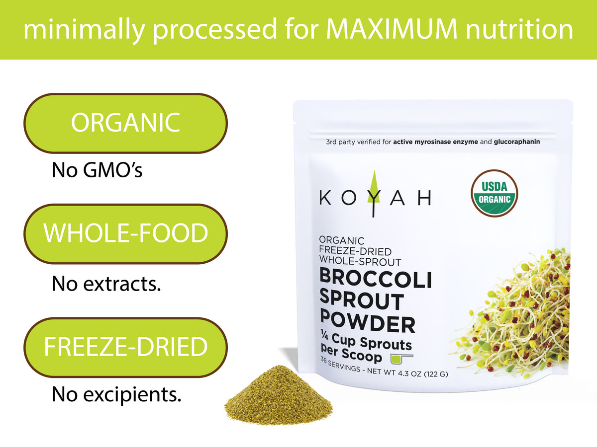 KOYAH Organic Broccoli Sprout Powder infographic: organic, whole food, freeze-dried