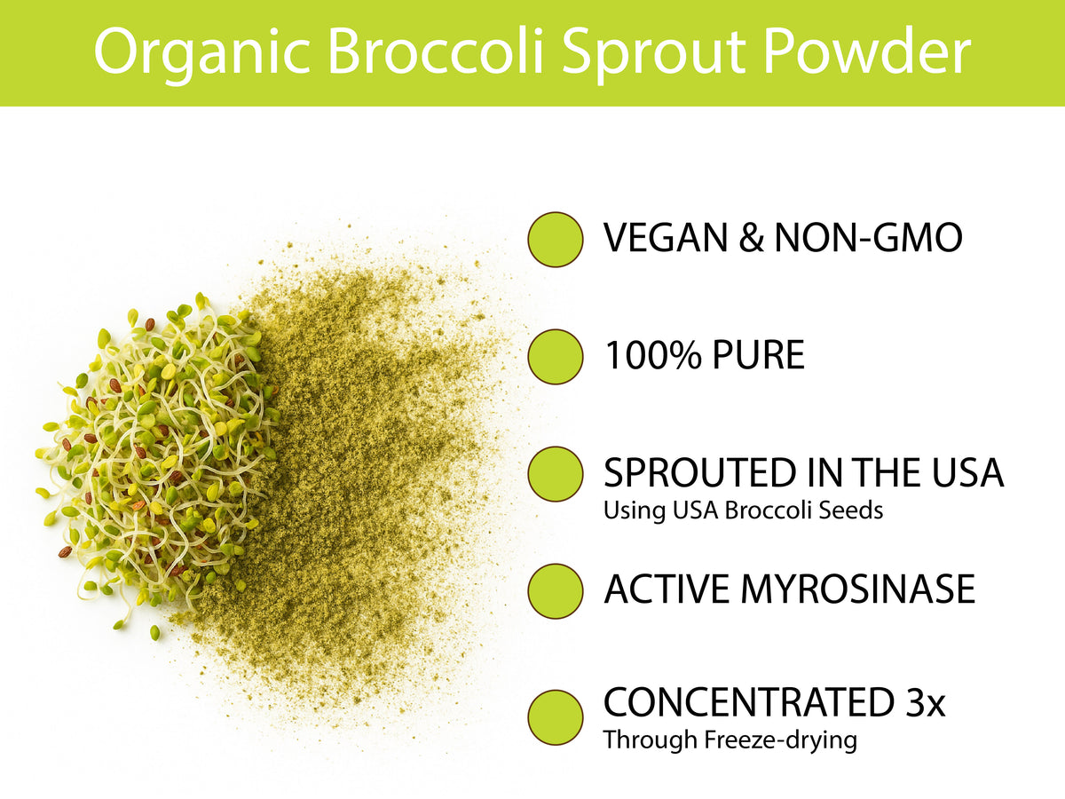 KOYAH Organic Broccoli Sprout Powder ingredient and product facts infographic