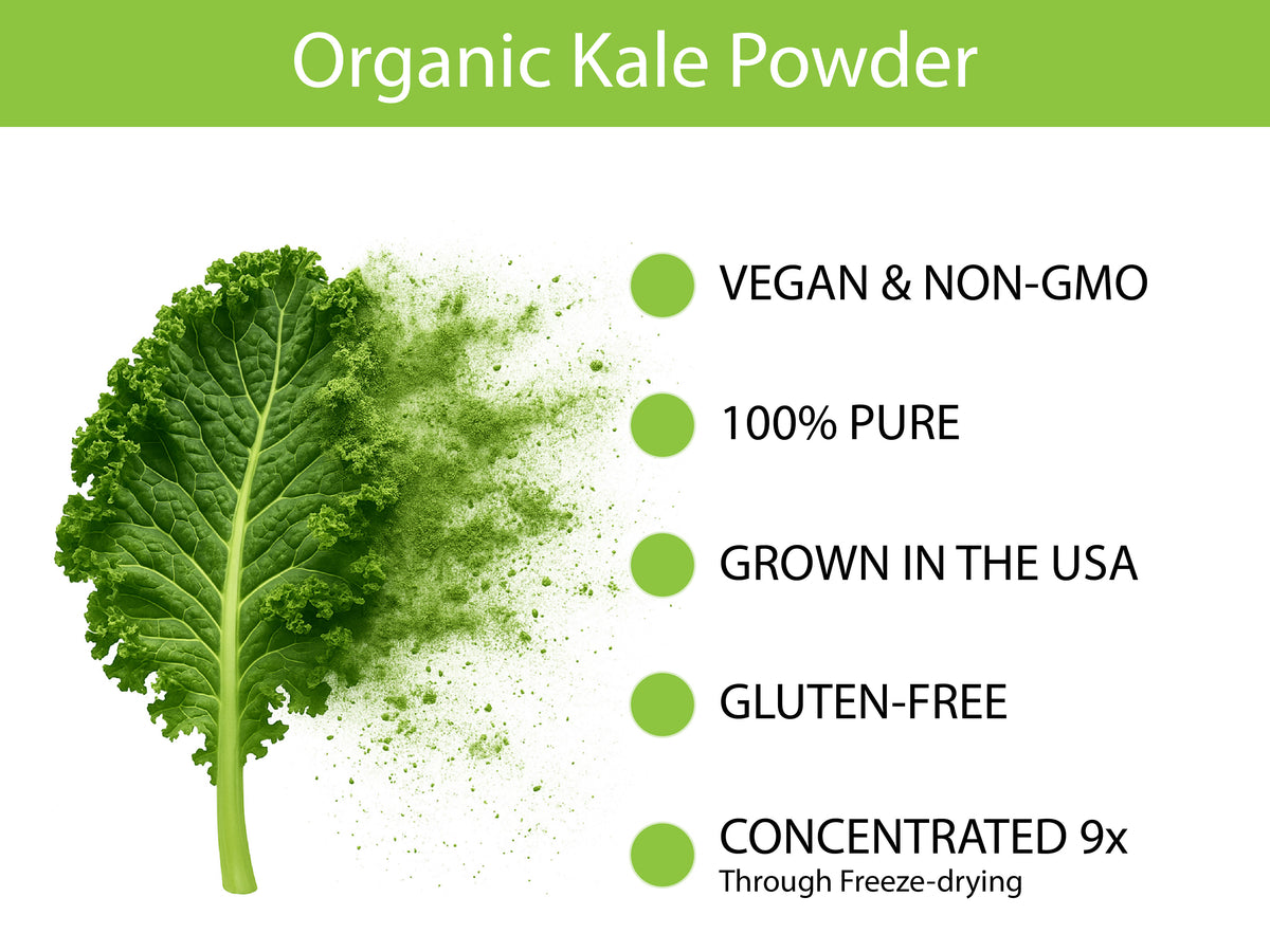 KOYAH Organic Kale Powder ingredient and product facts infographic