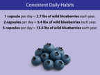 KOYAH Organic Wild Blueberry Capsules daily serving equivalency chart