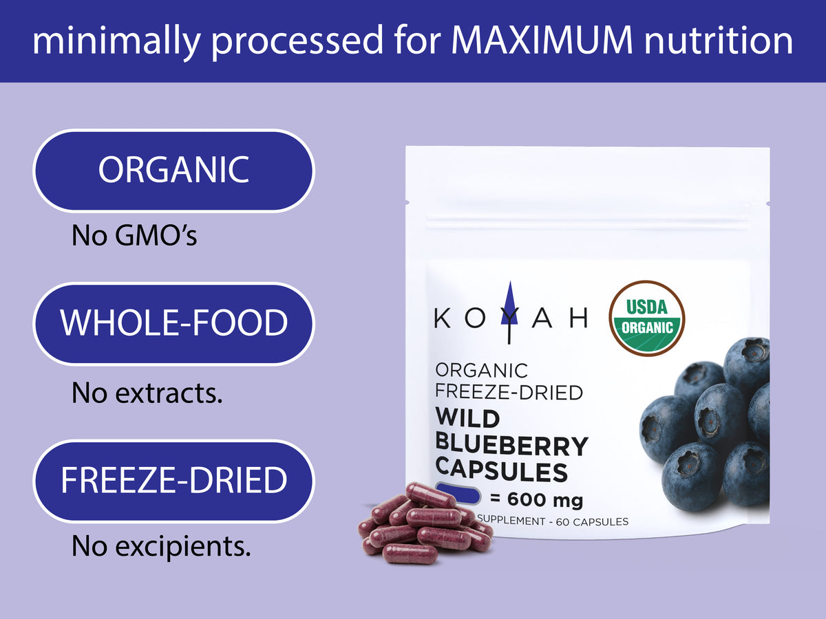 KOYAH Organic Wild Blueberry Capsules infographic: organic, whole food, freeze-dried