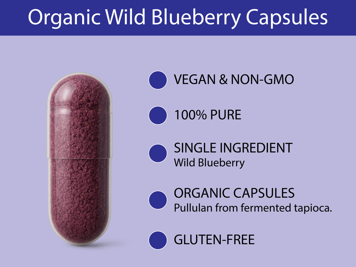 KOYAH Organic Wild Blueberry Capsules ingredient and product facts infographic