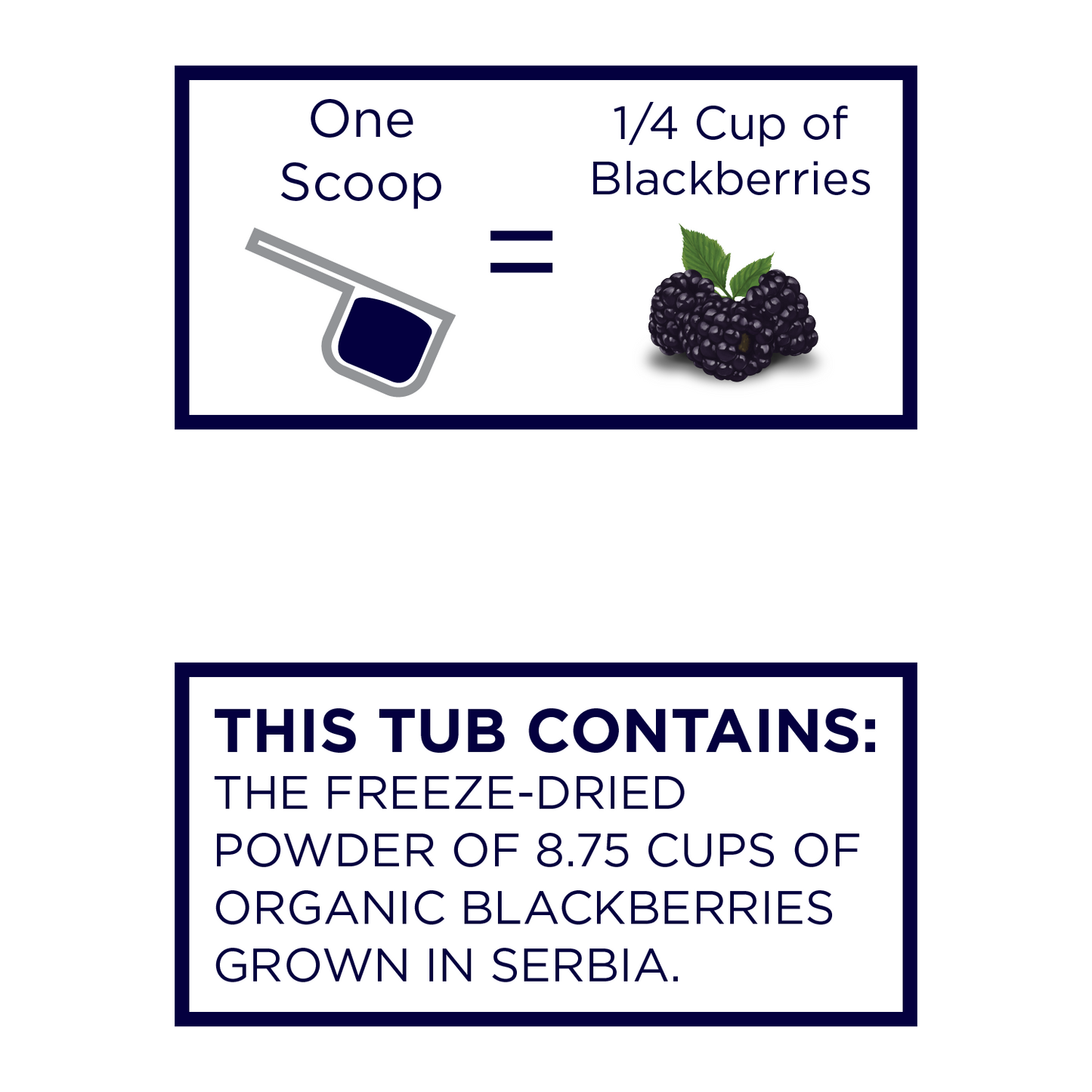 Organic Blackberry Powder - Grown in Serbia & Freeze-dried
