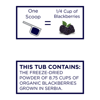 blackberry powder 1 scoop = 1/4 cup of blackberries