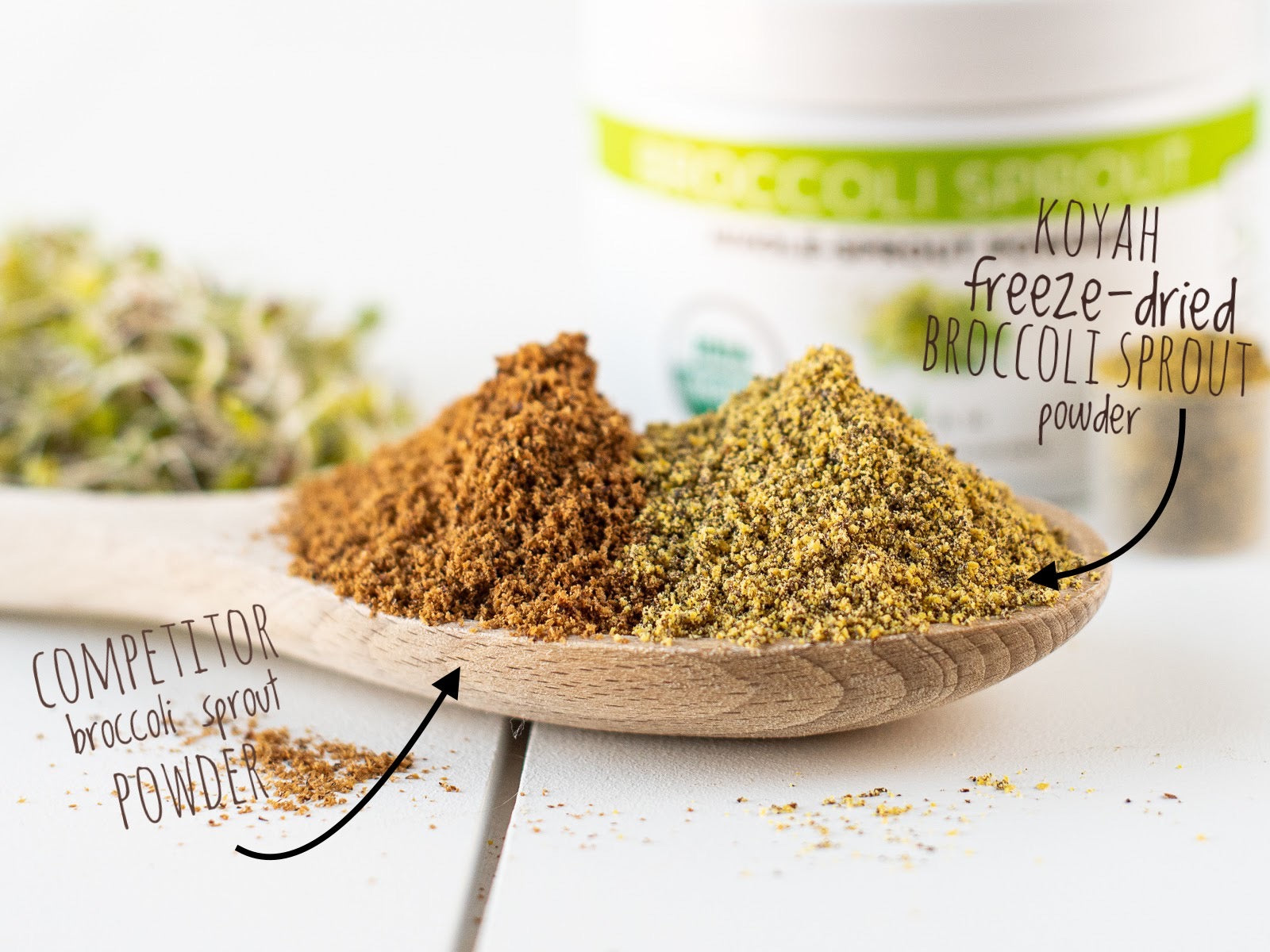 Organic Broccoli Sprout Powder - USA Sprouted & Freeze-dried – KOYAH