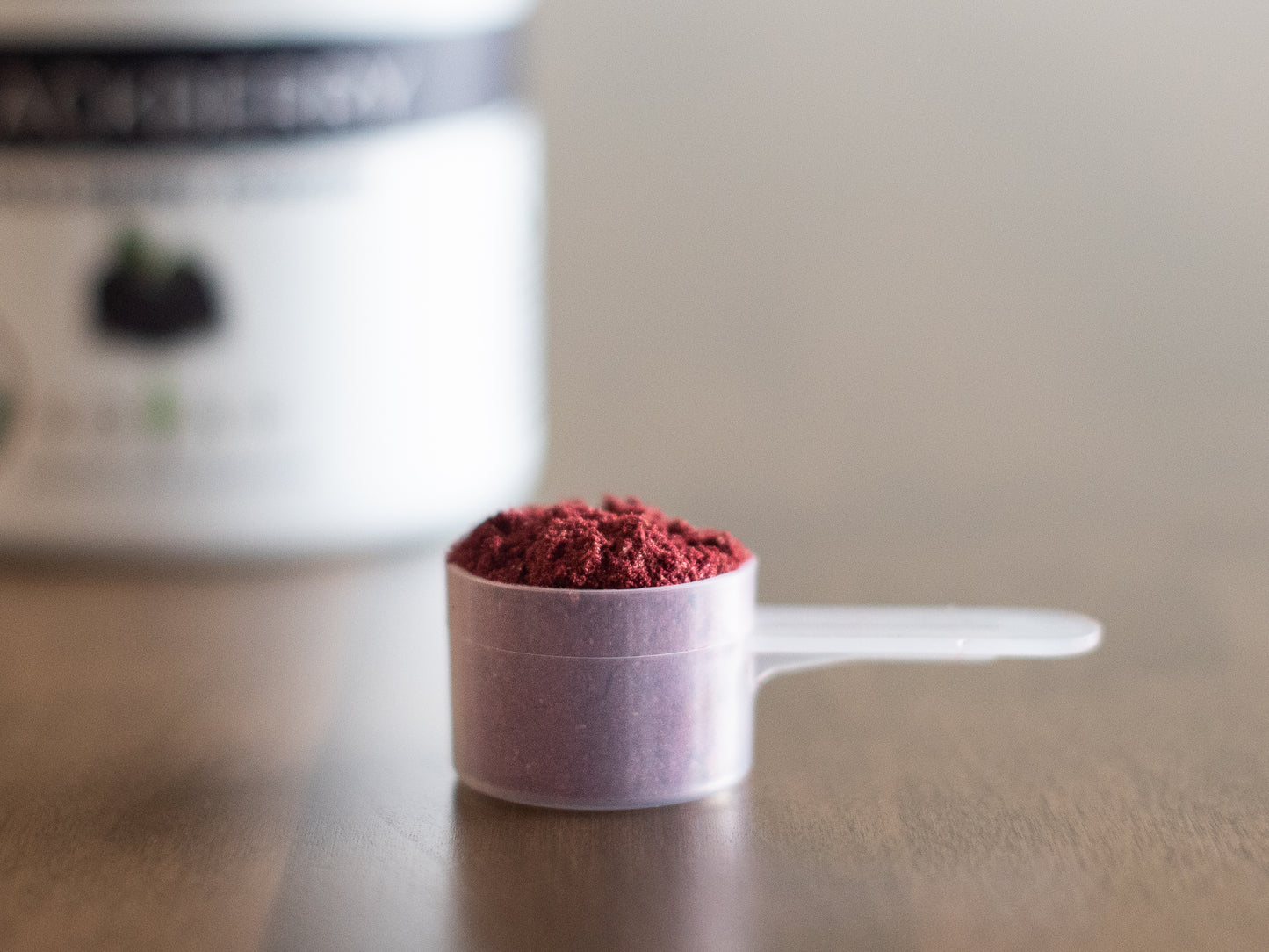 blackberry powder in a scoop
