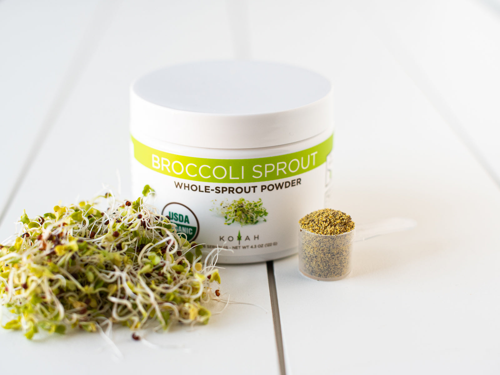 broccoli sprout powder