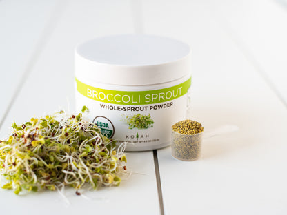 broccoli sprout powder